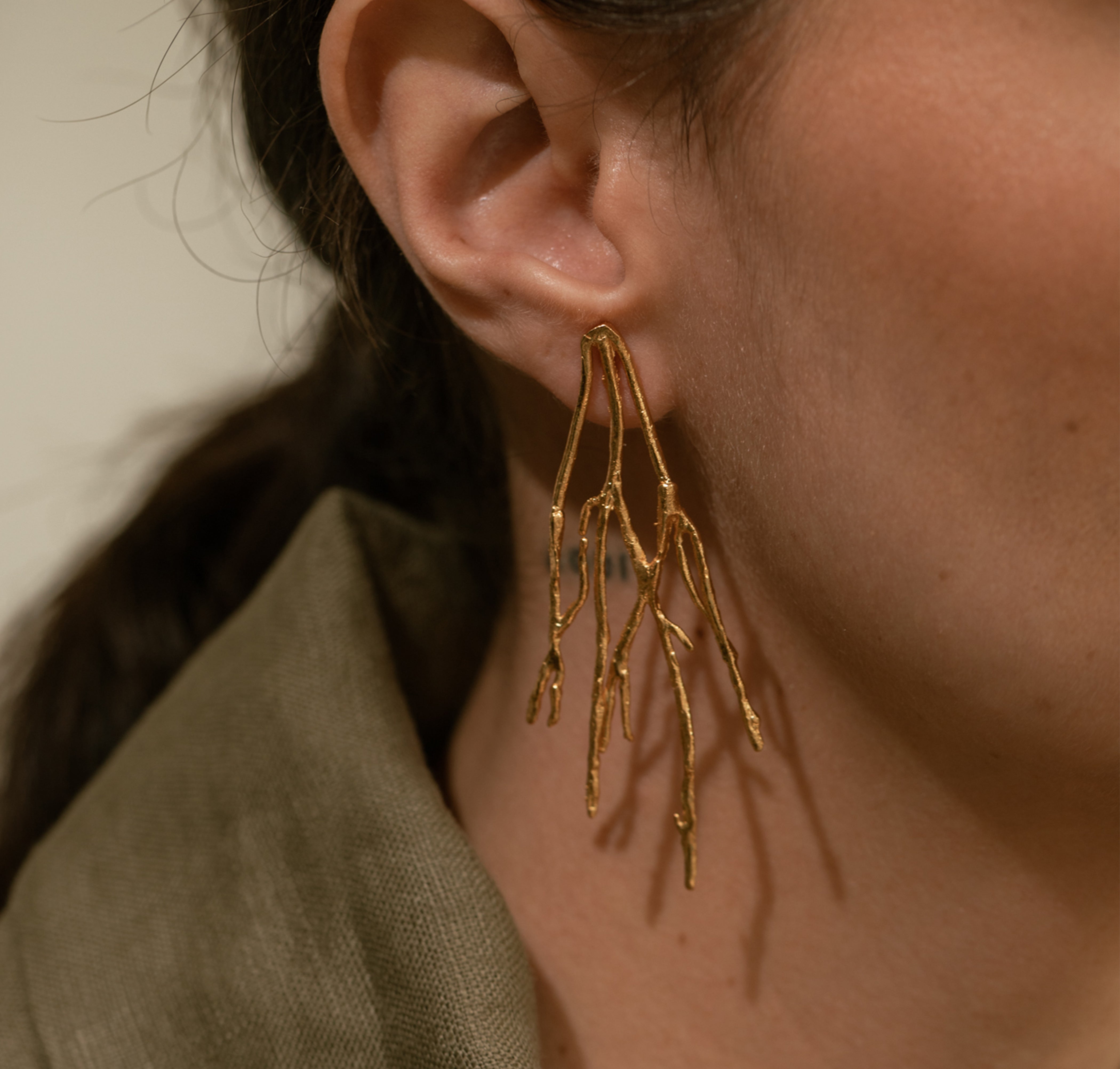 Aretes Arraigados