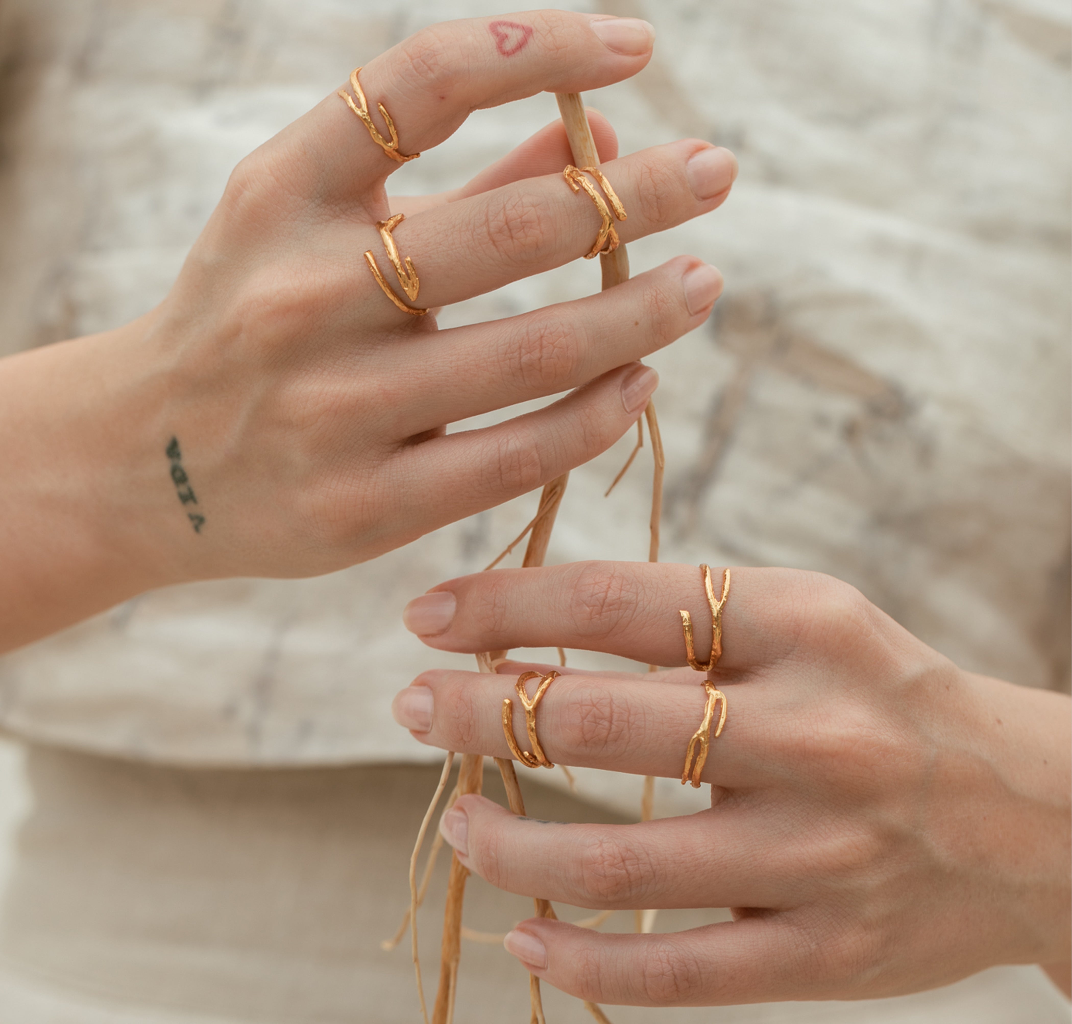 Anillo Raíz