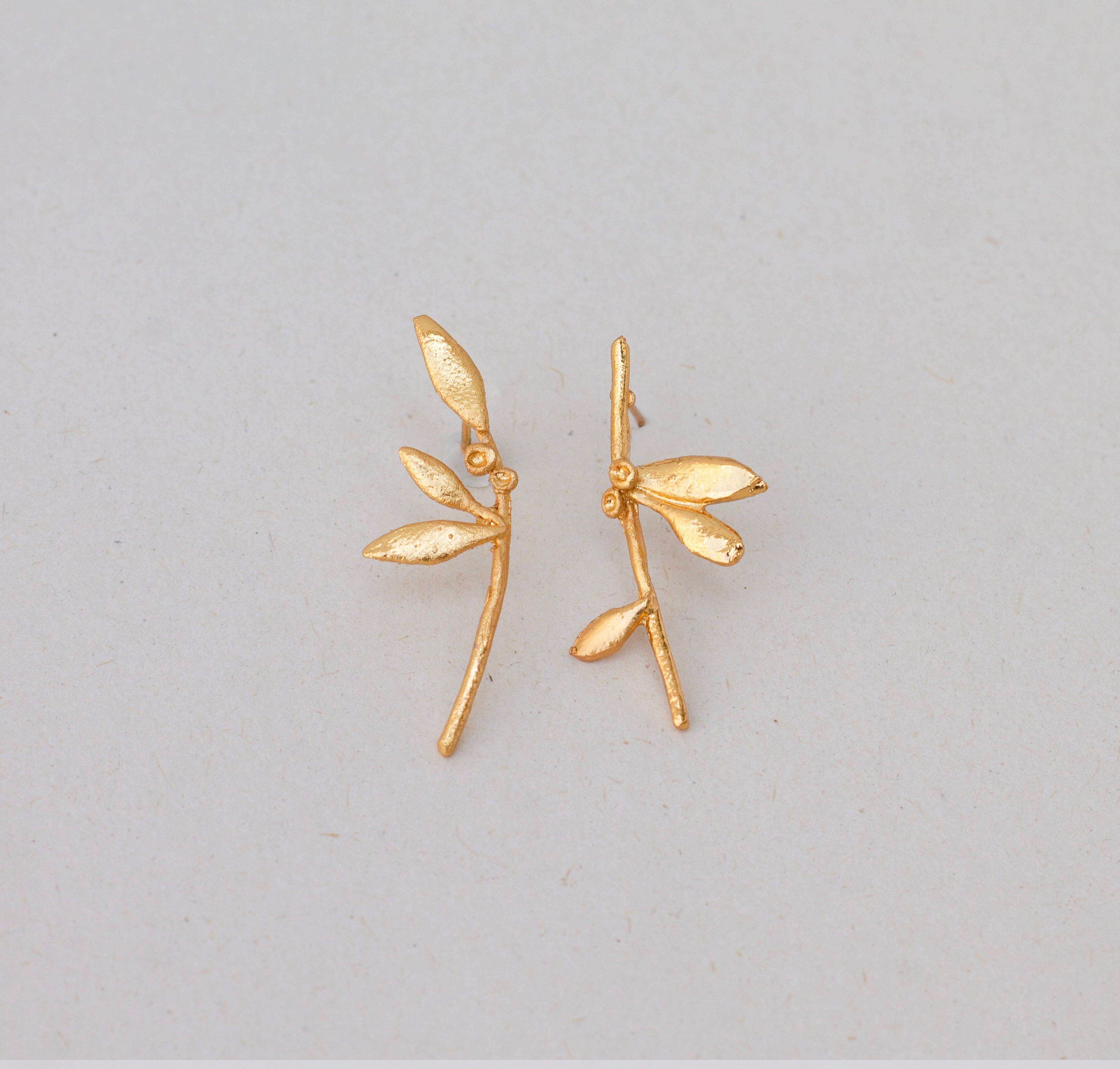 Topo irregular Olivos