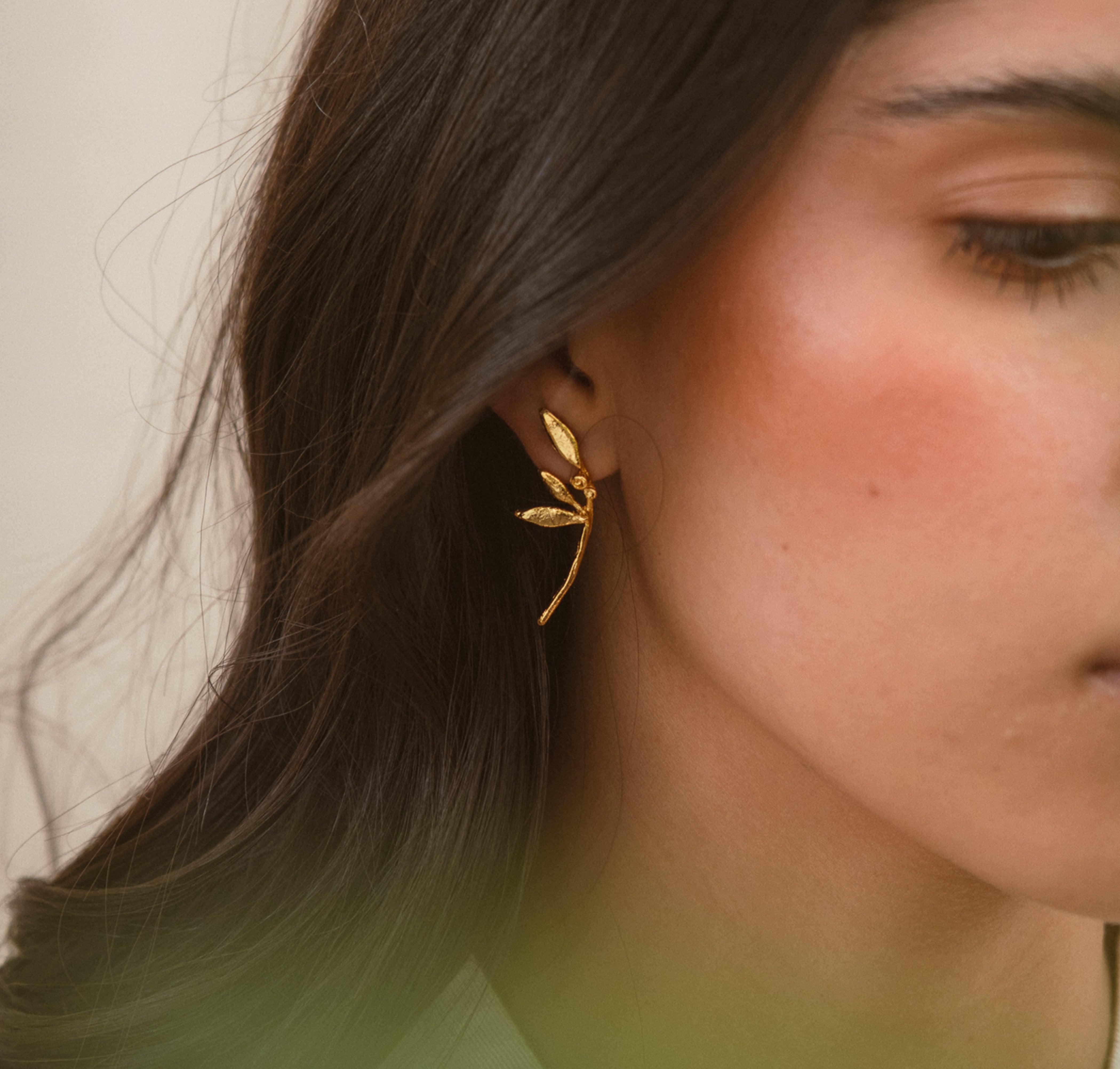 Topo irregular Olivos