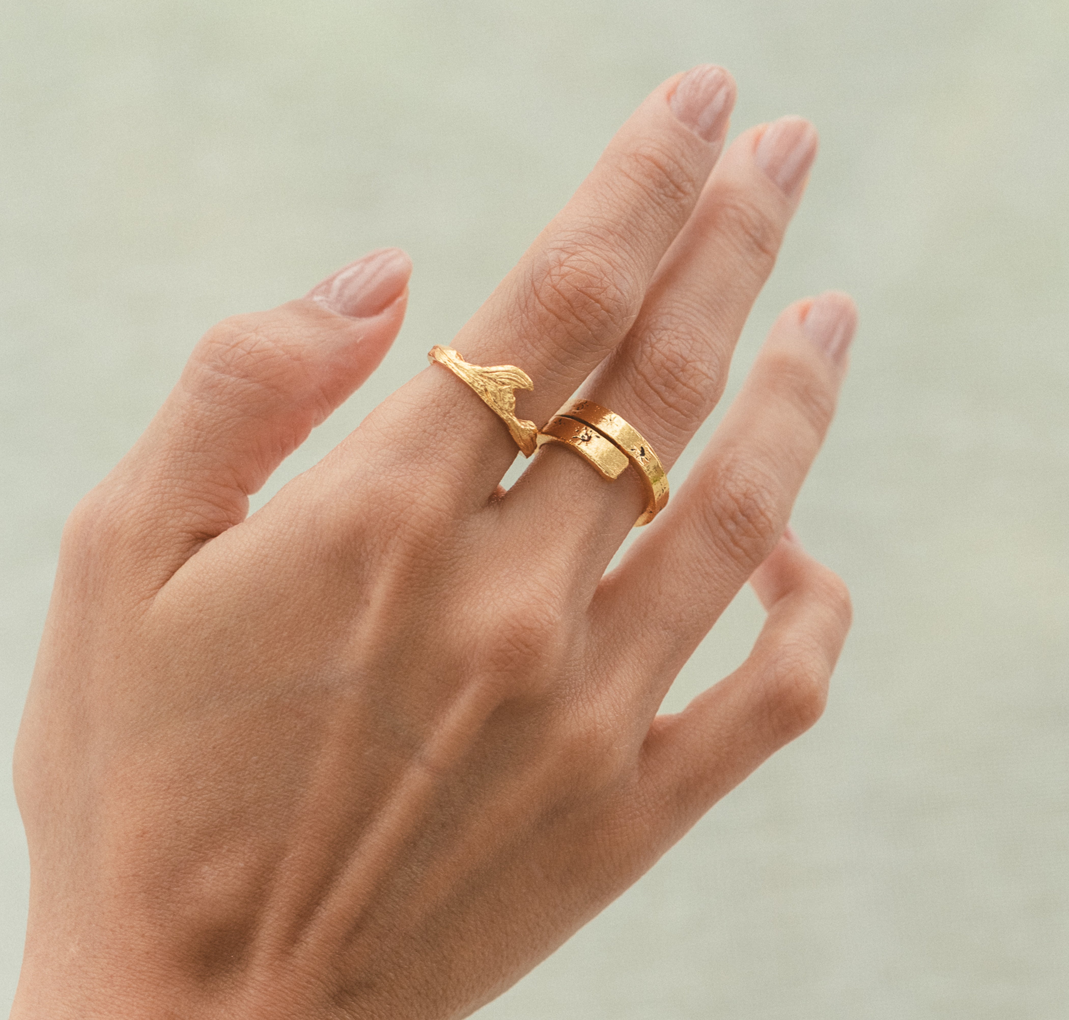 Anillo Olas