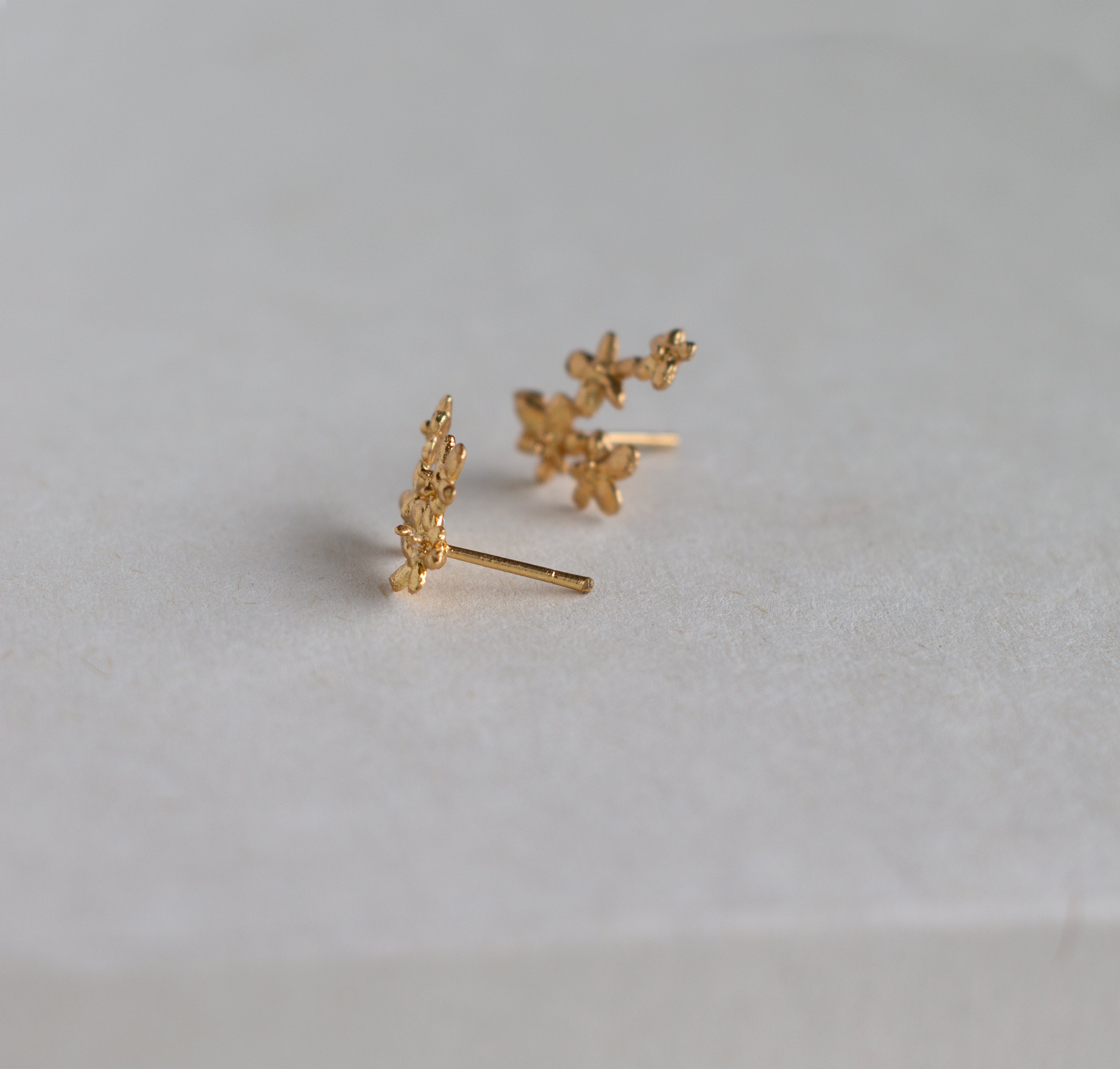 Topos Flor zanahoria