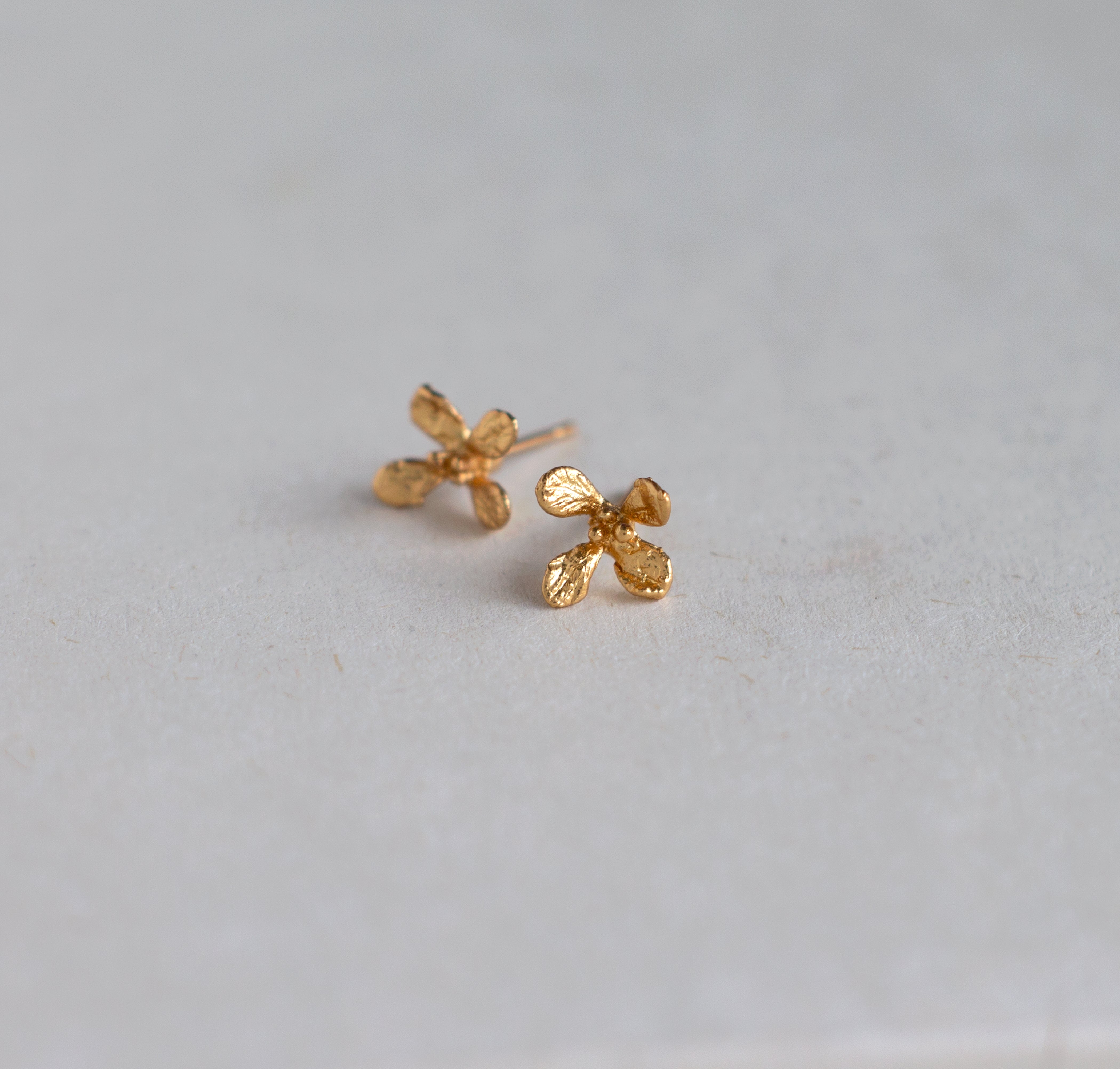 El campo es la inspiración para Victoria Montañez