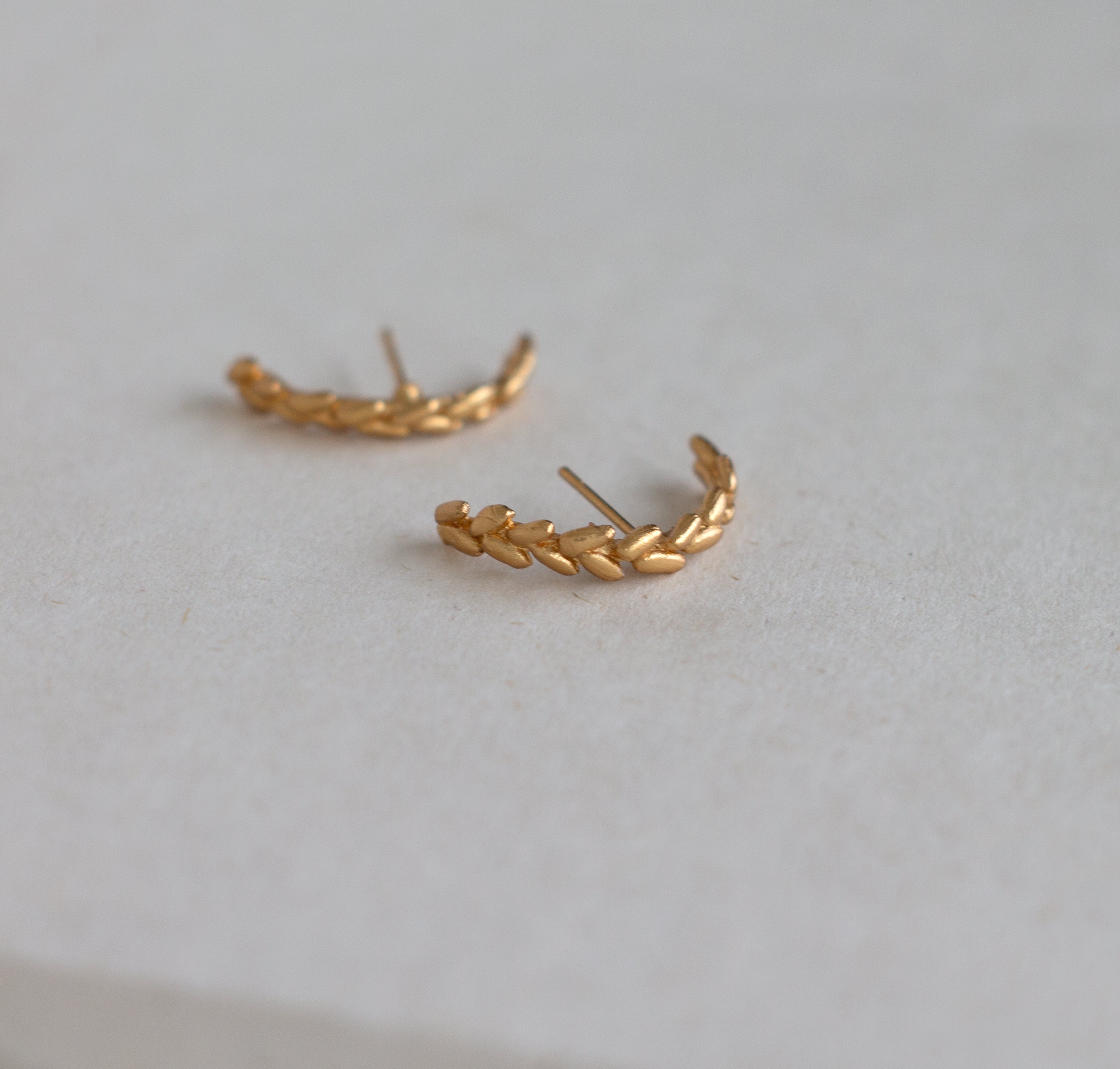 Arete Curvo espiga