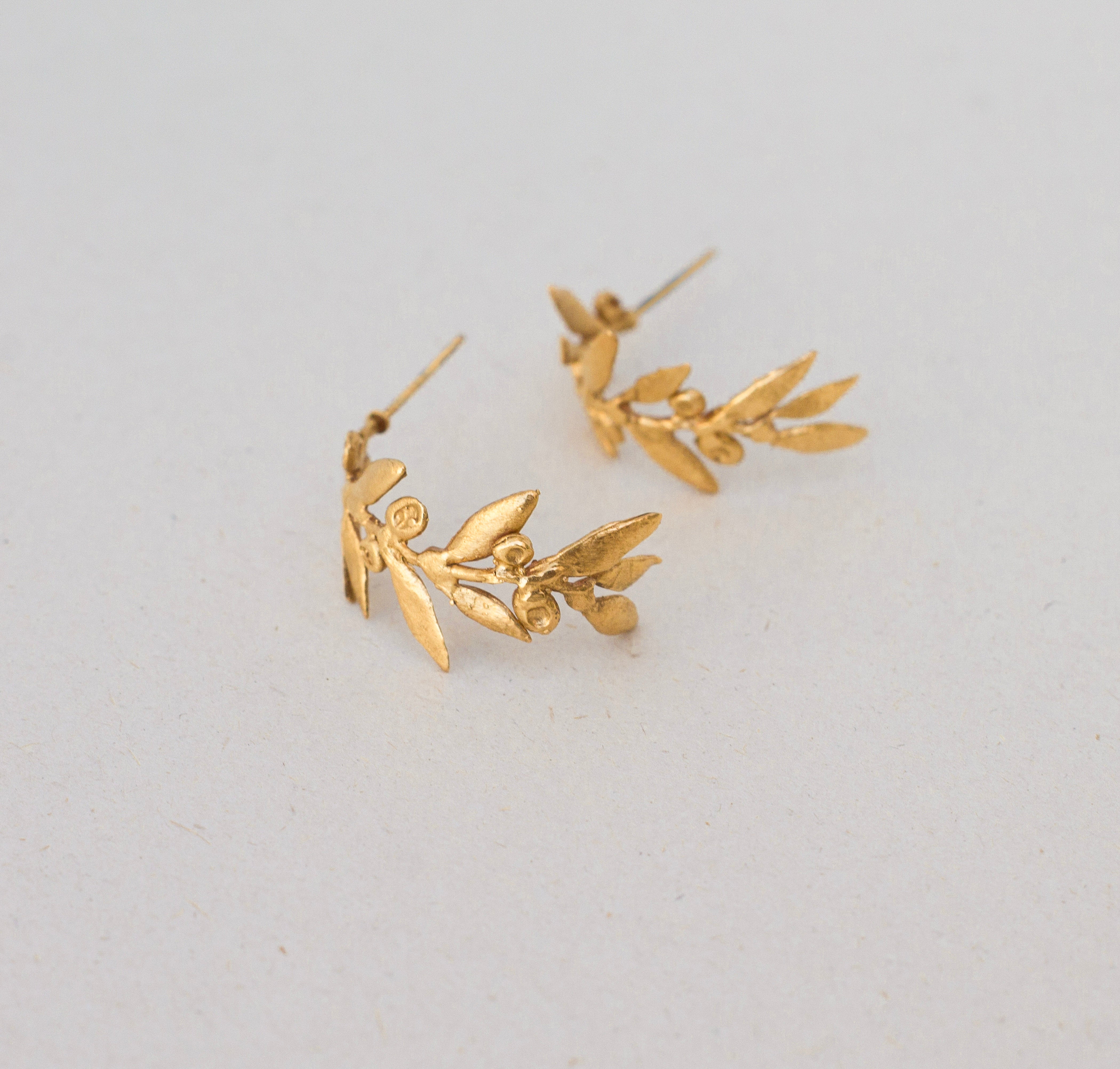 Candonga hojas olivos