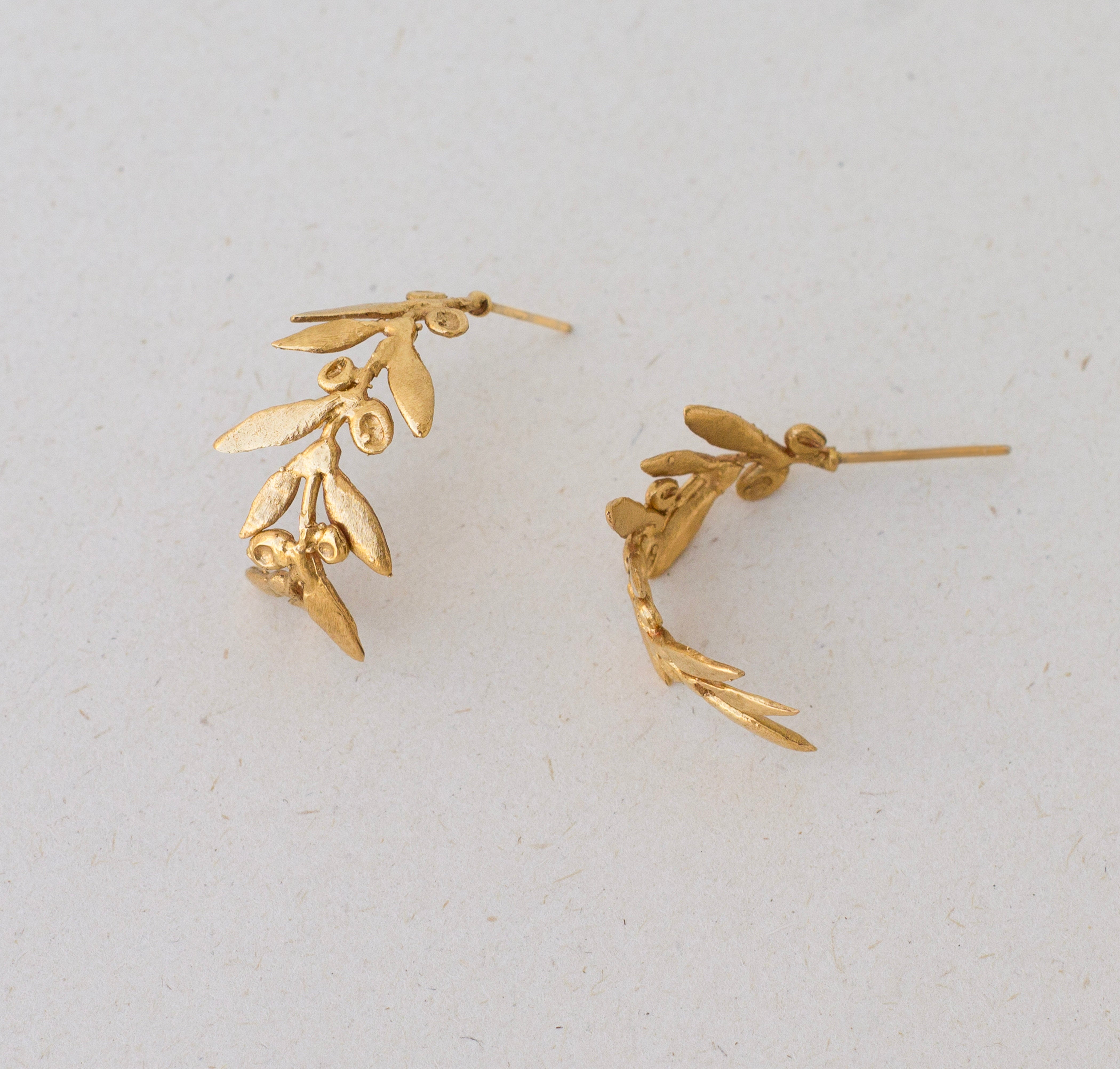 Candonga hojas olivos