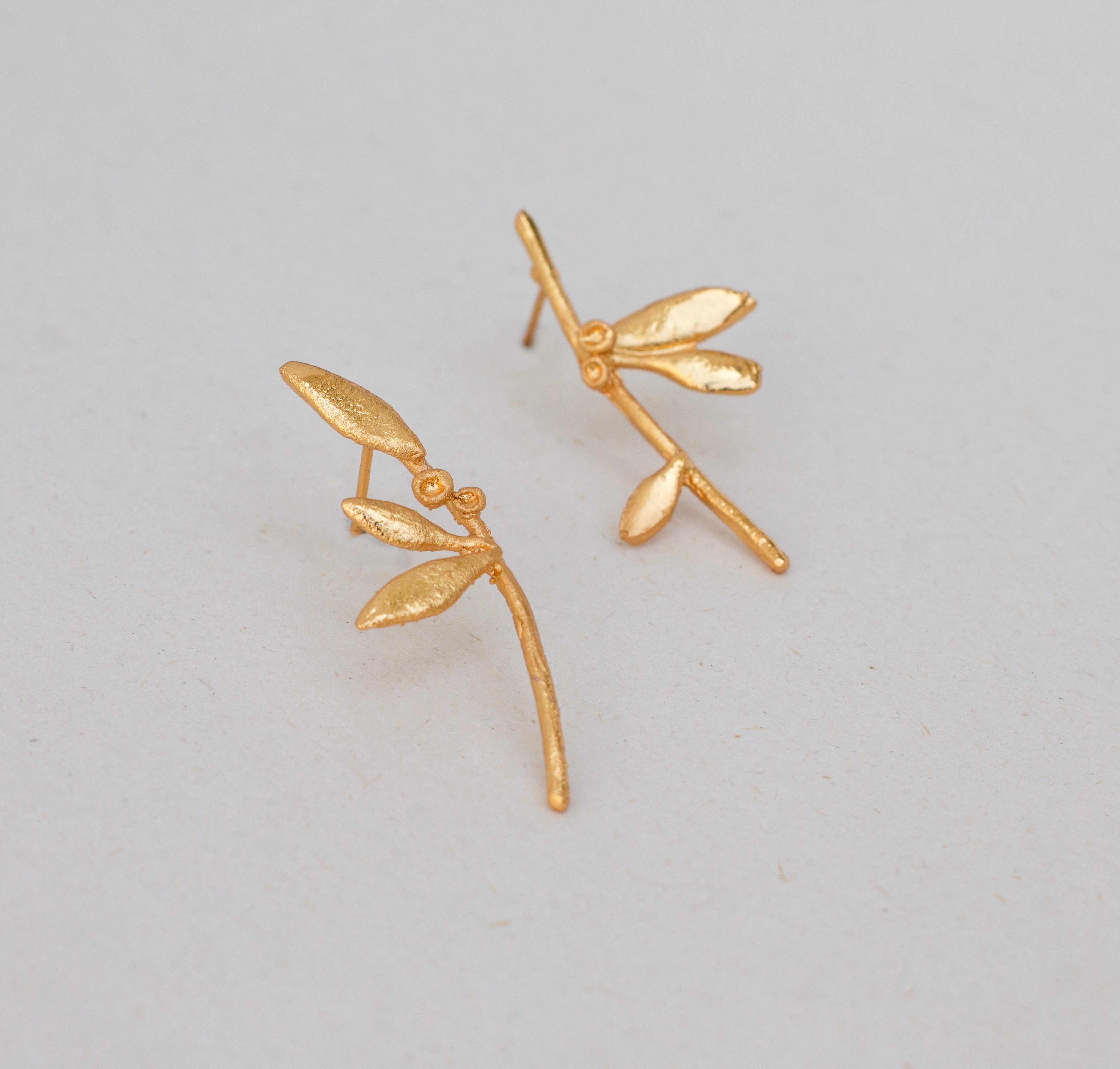 Topo irregular Olivos