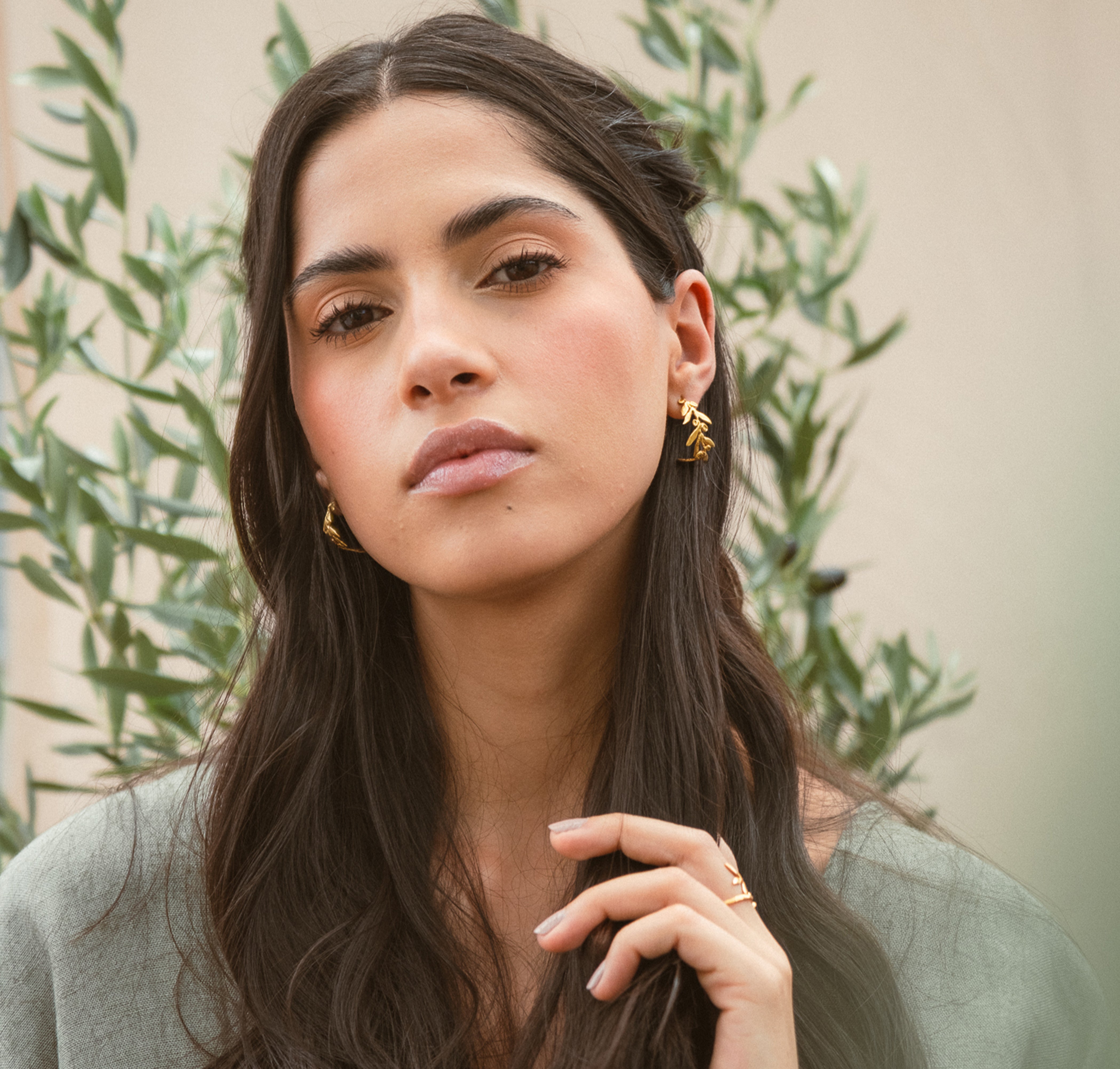 Candonga hojas olivos