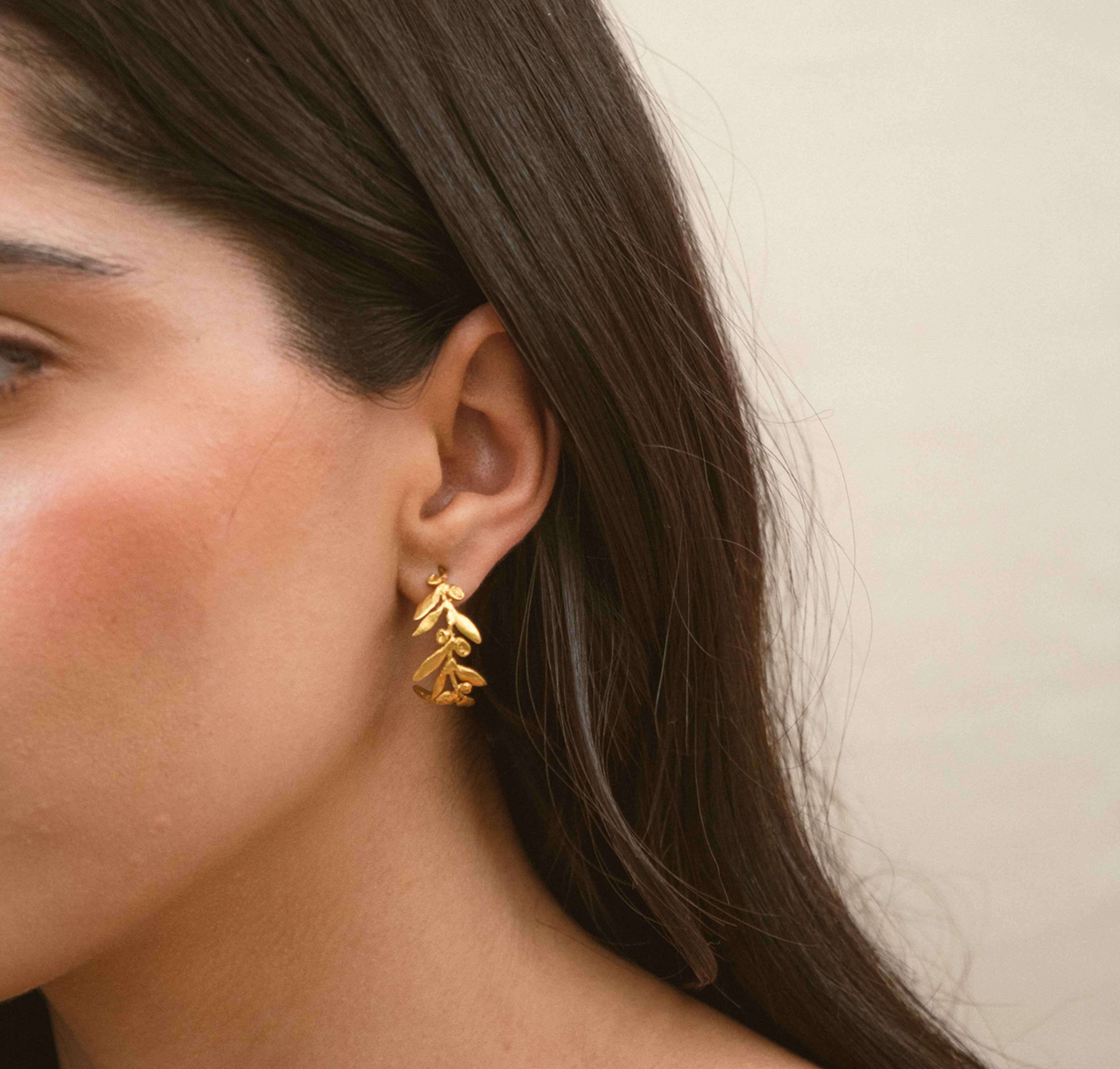 Candonga hojas olivos