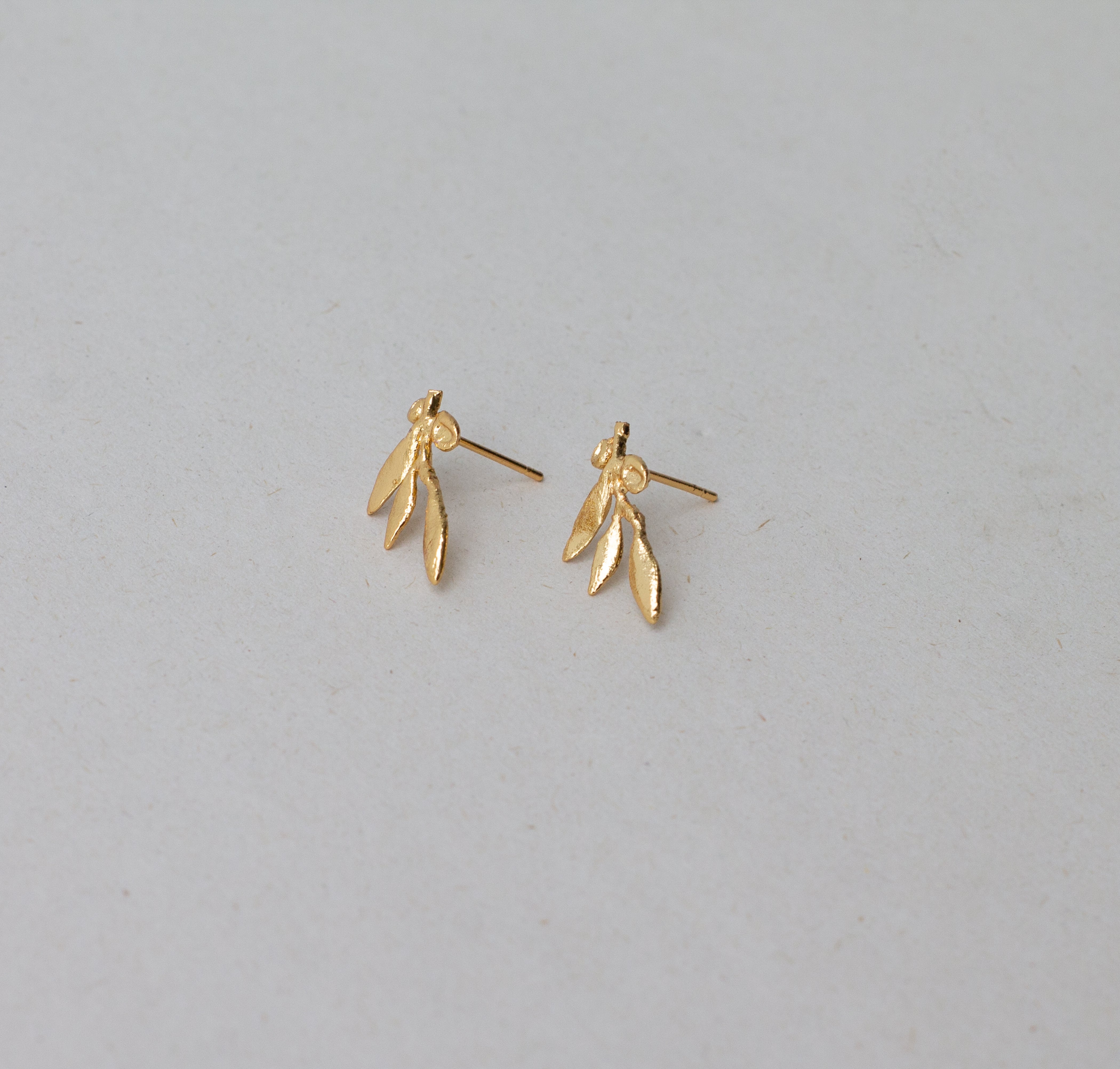 Topo mini rama olivo