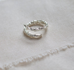 Anillo Orgánico