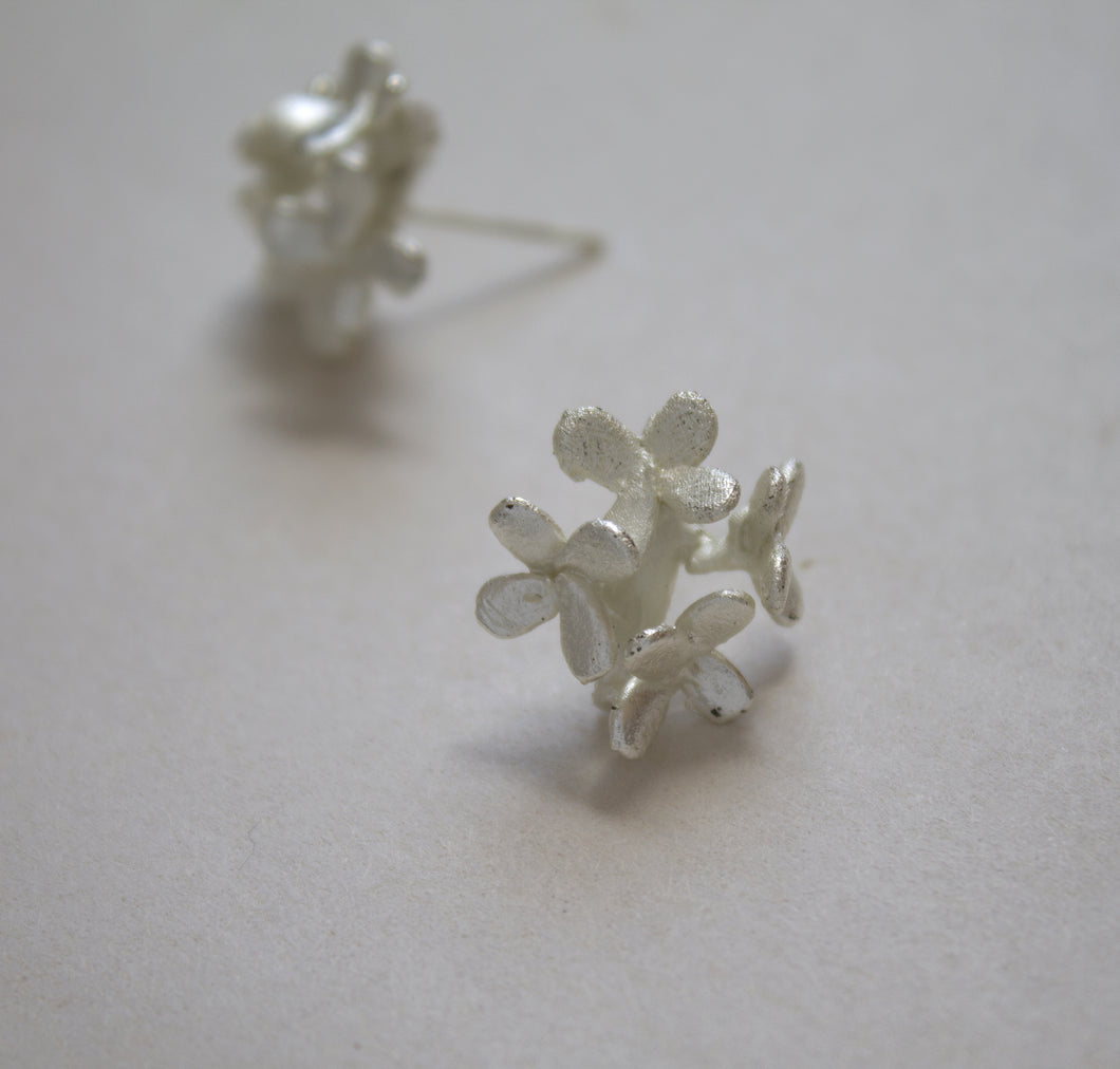 Topos Florecitas