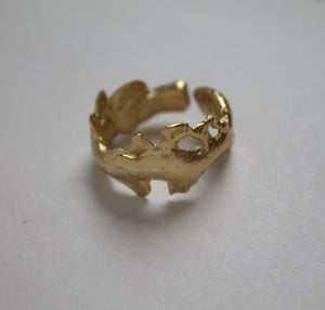 Anillo Splash